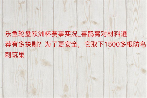 乐鱼轮盘欧洲杯赛事实况_喜鹊窝对材料遴荐有多抉剔？为了更安全，它取下1500多根防鸟刺筑巢